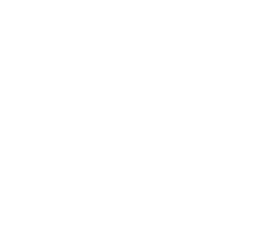 WMFi